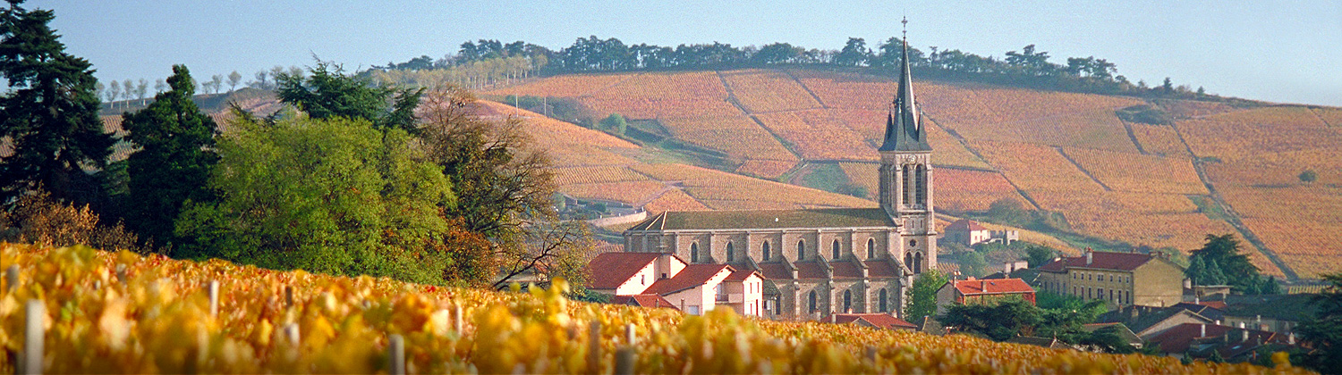 Agence des Grands Crus - Fleurie