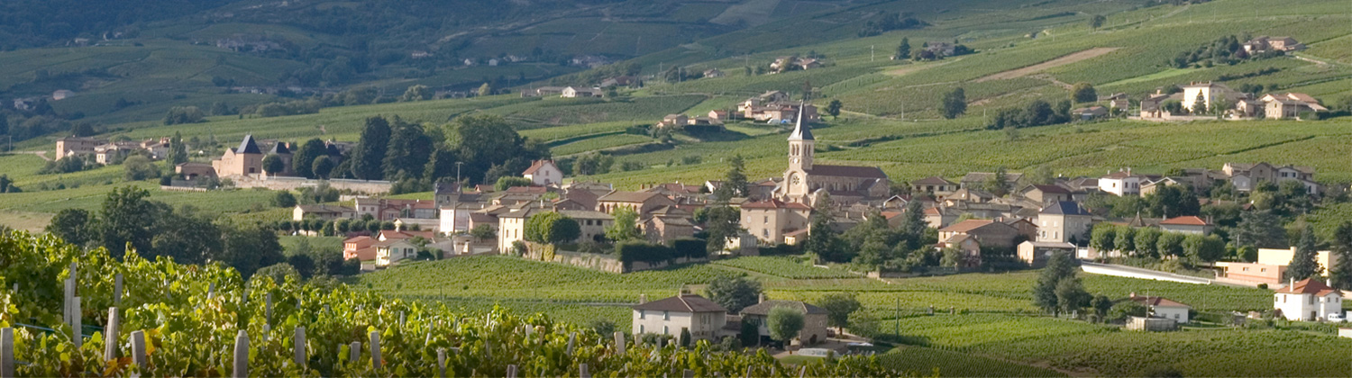 Agence des Grands Crus - Juliénas