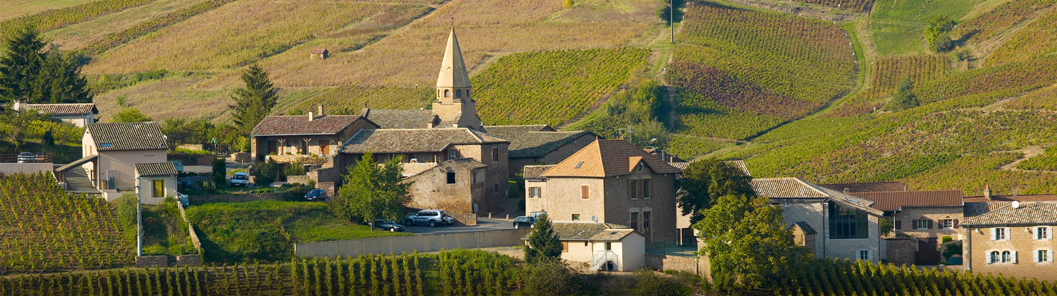 Agence des Grands Crus - Saint Vérand