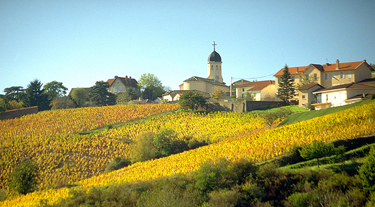 Cru Chiroubles