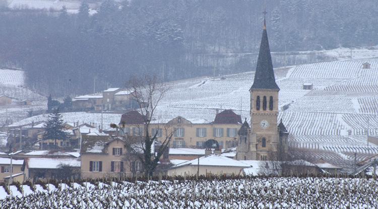 Cru Chénas