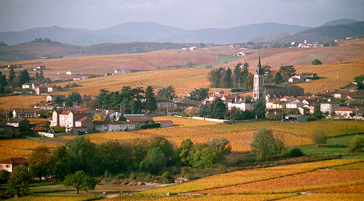 Cru Fleurie