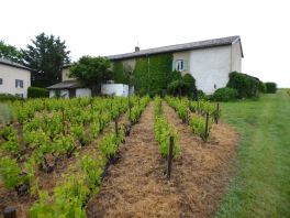 2 MAISONS VIGNERONNES SAINT LAGER