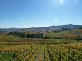 AOP BROUILLY,  AOP BV, Prés... SAINT ETIENNE LA VARENNE