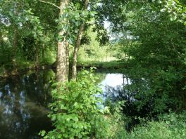 Maison et ses dépendances professionnelles JULLIE