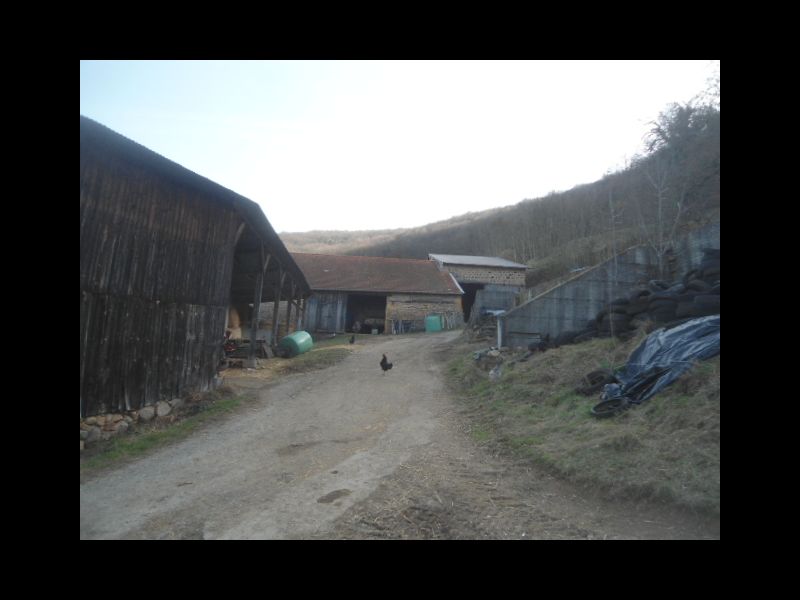 Propriété de 31 h 41 a 44 ca, de Prés Bois Saint Romain de Popey