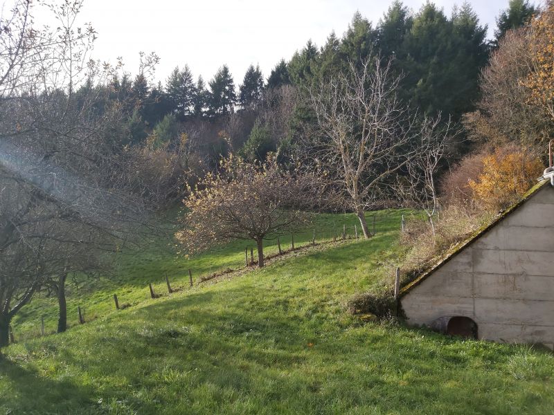 Propriété Viticole Vauxrenard