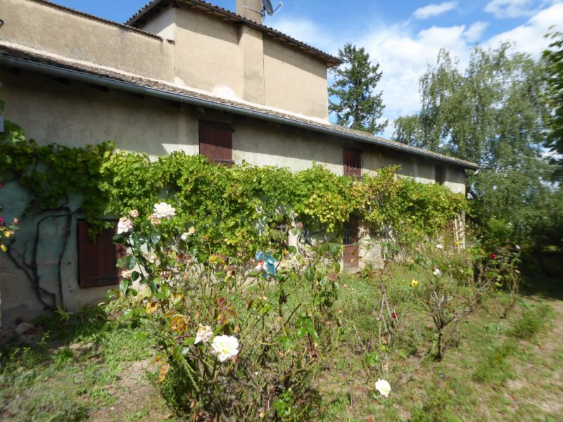 maison vigneronne ROMANECHE THORINS