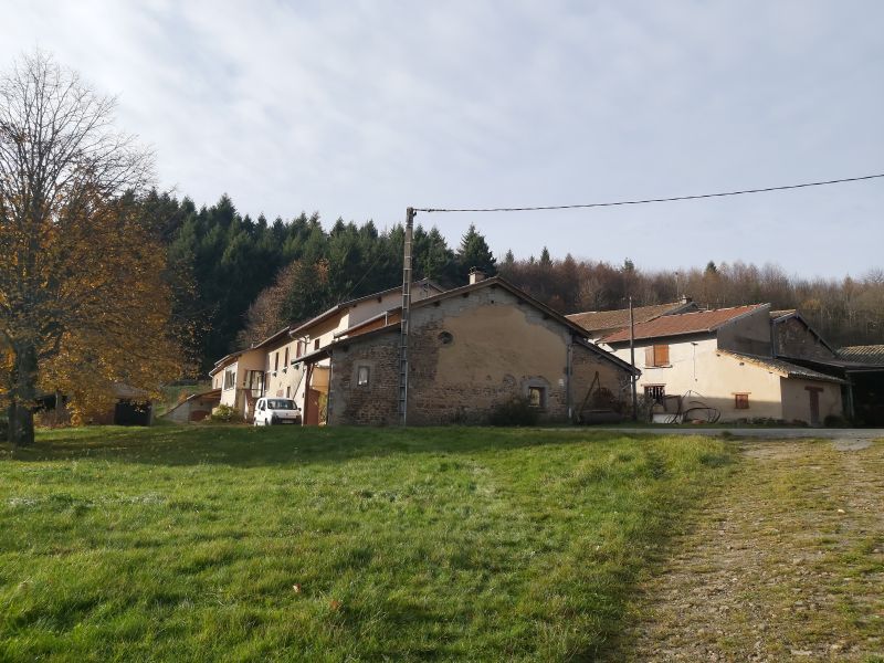 Propriété Viticole Vauxrenard