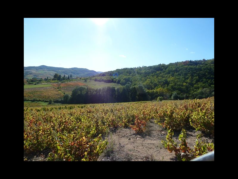 AOP BROUILLY,  AOP BV, Prés... SAINT ETIENNE LA VARENNE