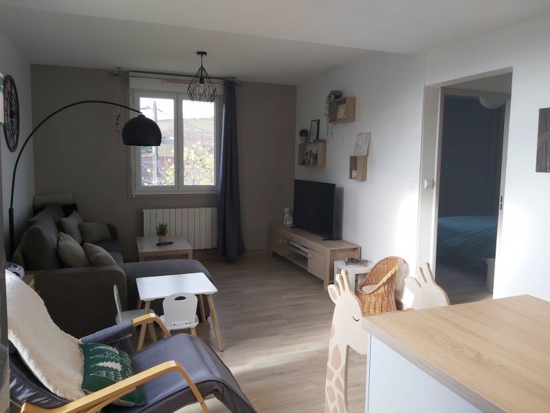 Appartement avec Balcon / Excellent Etat / Vue Dégagée FLEURIE