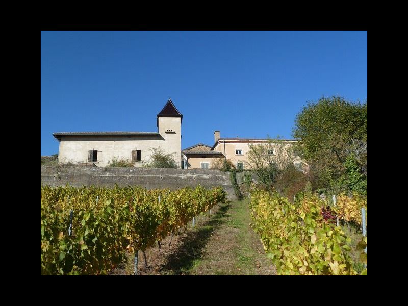 Propriété viticole avec tènement immobilier à rénover SAINT ETIENNE LA VARENNE