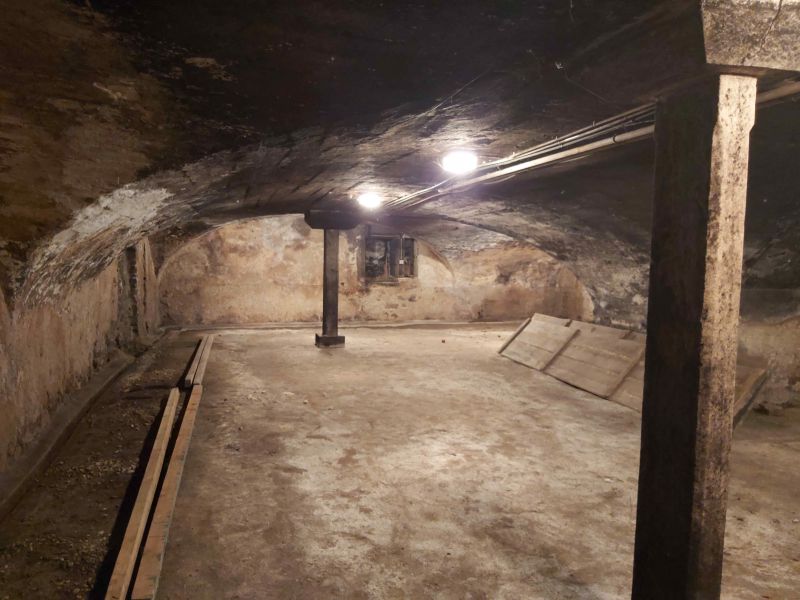 Belle bâtisse de 300 m² hab env + 200 m² env de caves voûtées + 200 m² env de greniers....etc.. FLEURIE