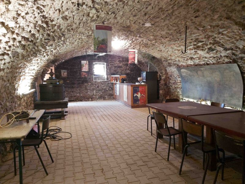 Belle bâtisse de 300 m² hab env + 200 m² env de caves voûtées + 200 m² env de greniers....etc.. FLEURIE
